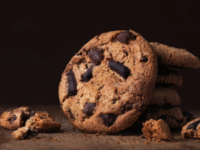 Dutch Funfood Service – Van de Meester | |